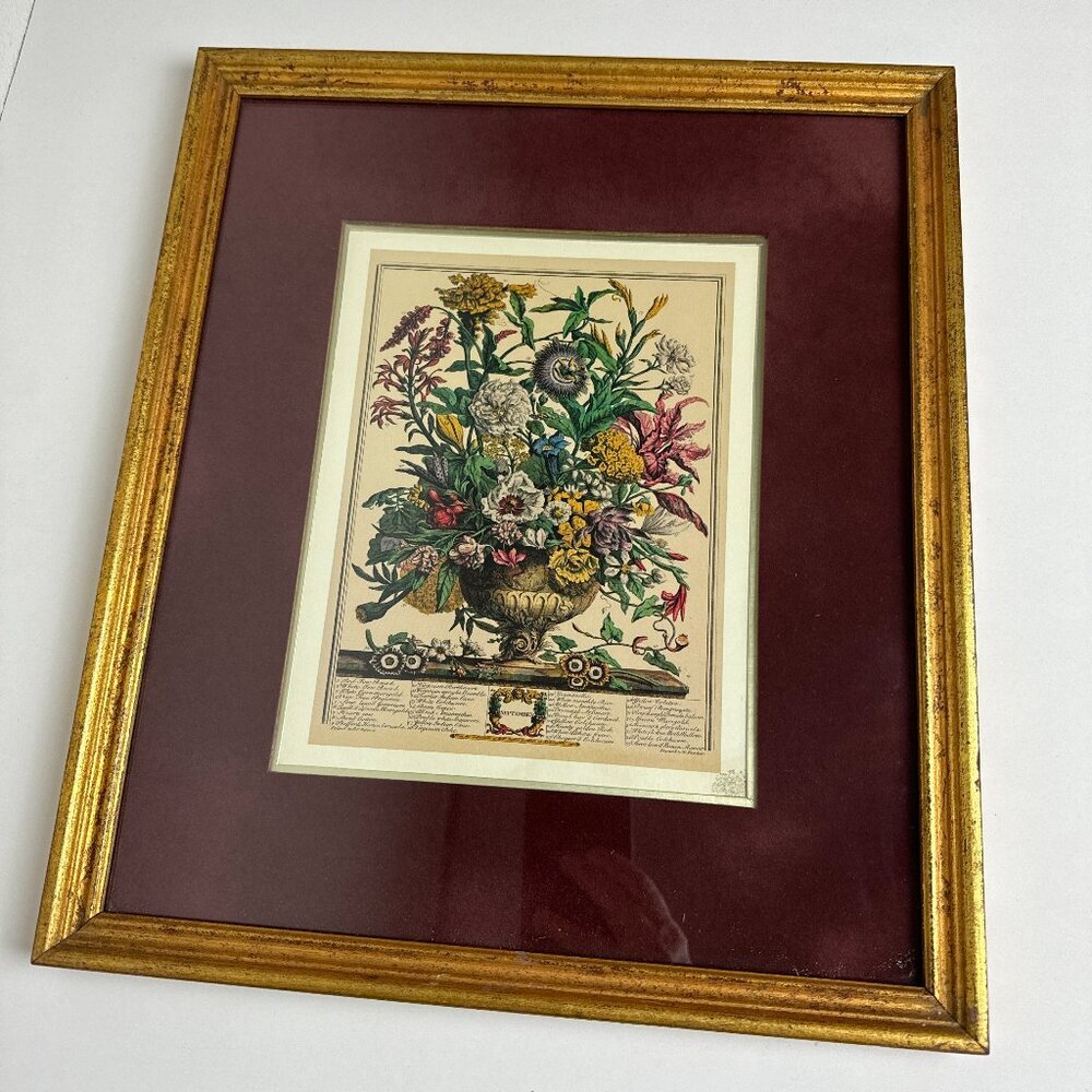 Vintage Robert Furber 12 Months Botanical Etching September Matted Framed